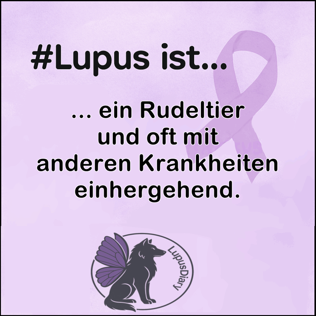 Textgrafik mit der Aufschrift '#Lupus ist... ein Rudeltier und oft mit anderen Krankheiten einhergehend' auf lilafarbenem Hintergrund.