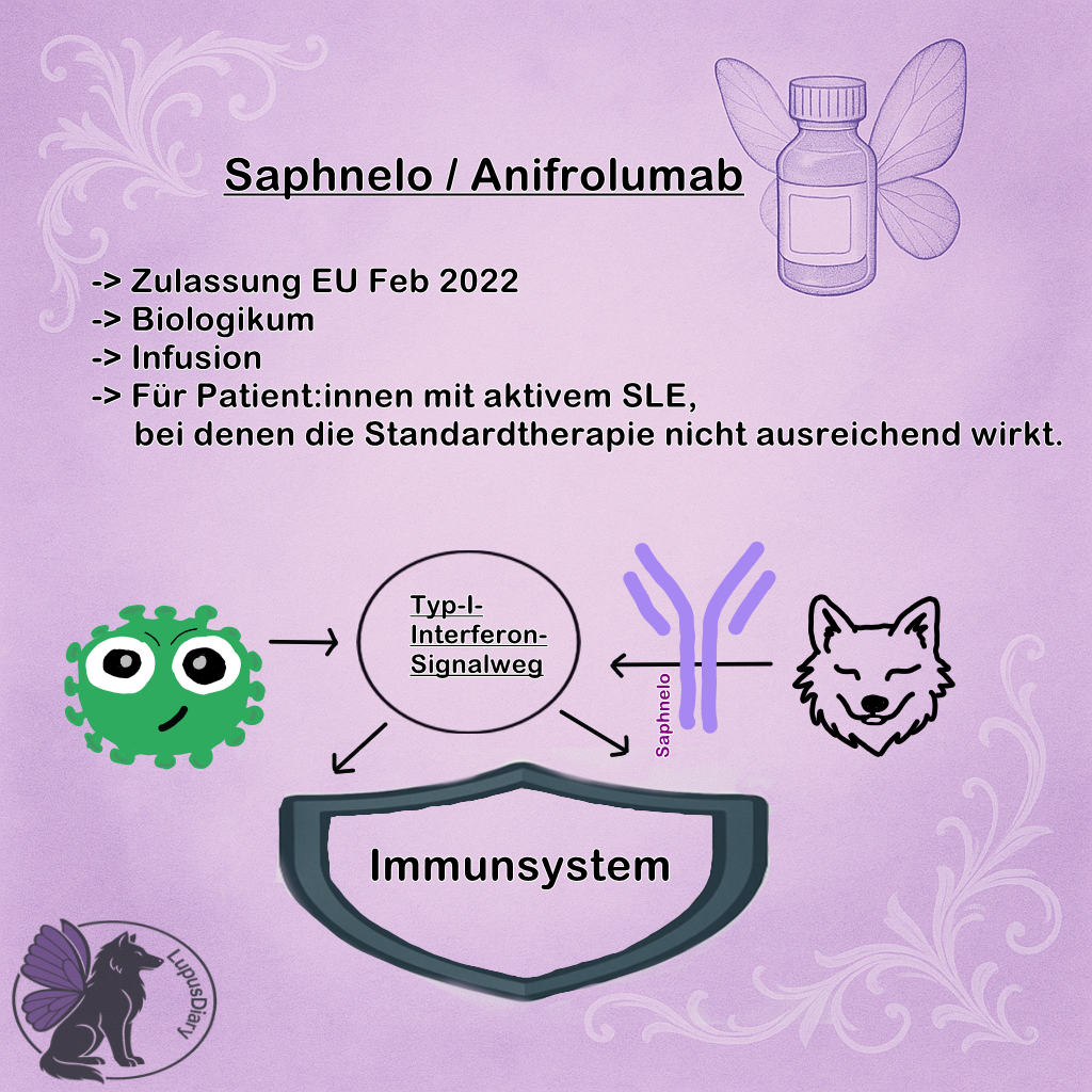 Infografik zu Saphnelo (Anifrolumab) mit Informationen zur Zulassung, Anwendung und Wirkmechanismus über den Typ-I-Interferon-Signalweg bei systemischem Lupus erythematodes.